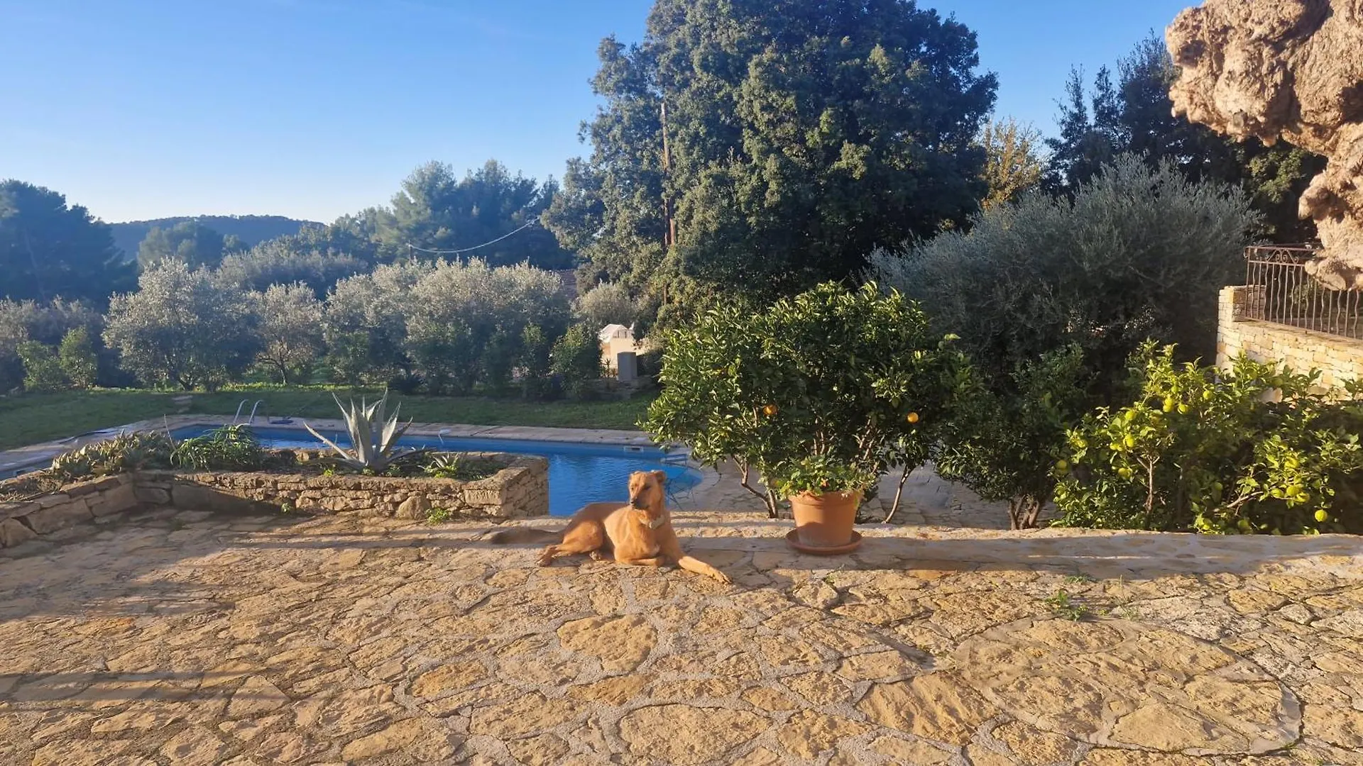 Holiday home Maison De Caractere Situee Au Coeur Des Domaines Viticoles De Bandol La Cadiere-d'Azur France